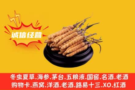 宁波慈溪市回收冬虫夏草